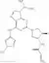 Fig. 58 - Purine derivatives