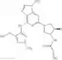 Fig. 82 - Purine derivatives