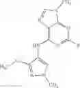 Fig. 90 - Purine derivatives