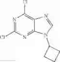 Fig. 94 - Purine derivatives
