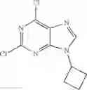 Fig. 97 - Purine derivatives