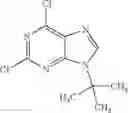 Fig. 98 - Purine derivatives