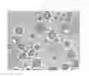 Fig. 03 - NON-IONIC VESICLE FORMULATIONS OF CALCIUM CHANNEL BLOCKERS