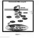 Fig. 02 - Method for modulating canonical Wnt pathway using folate and inositol