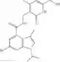 Fig. 397 - Indoles