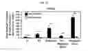 Fig. 06 - METHODS FOR DELAYING OR PREVENTING THE ONSET OF TYPE 1 DIABETES