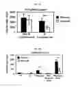 Fig. 07 - METHODS FOR DELAYING OR PREVENTING THE ONSET OF TYPE 1 DIABETES