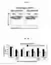 Fig. 09 - METHODS FOR DELAYING OR PREVENTING THE ONSET OF TYPE 1 DIABETES
