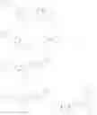 Fig. 46 - METHODS FOR DELAYING OR PREVENTING THE ONSET OF TYPE 1 DIABETES