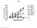 Fig. 02 - PHARMACEUTICAL COMPOSITION FOR THE PREVENTION OR TREATMENT OF BRAIN TUMOR OR TEMODAL RESISTANT GLIOBLASTOMA MULTIFORM COMPRISING AZATHIOPRINE AS AN ACTIVE INGREDIENT