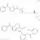 Fig. 08 - Compositions and methods for the treatment of moderate to severe pain