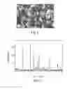 Fig. 05 - CRYSTALLINE FORMS OF A 3-[2-METHANESULFONYL-1-(4-TRIFLUOROMETHYL-PHENOXY)ETHYL]PYRROLIDINE COMPOUND
