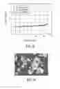 Fig. 10 - CRYSTALLINE FORMS OF A 3-[2-METHANESULFONYL-1-(4-TRIFLUOROMETHYL-PHENOXY)ETHYL]PYRROLIDINE COMPOUND