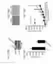 Fig. 69 - Methods of treating and diagnosing diseases using agents that regulate the alternative splicing pathway