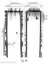 Fig. 09 - RNA interference mediating small RNA molecules