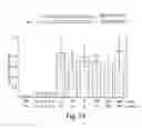 Fig. 22 - RNA interference mediating small RNA molecules