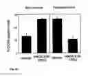 Fig. 49 - MCP-1 Binding Nucleic Acids and Use Thereof