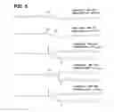 Fig. 06 - Method of treating ocular disorders with compounds found in Harderian gland secretions