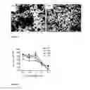 Fig. 06 - Polymer-based dialysate