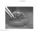 Fig. 04 - Emulsions or microemulsions for use in endoscopic mucosal resectioning and/or endoscopic submucosal dissection