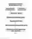 Fig. 02 - METHOD AND SYSTEM FOR PREDICTING RECURRENCE AND NON-RECURRENCE OF MELANOMA USING SENTINEL LYMPH NODE BIOMARKERS