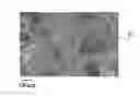 Fig. 01 - Process for manufacturing a fibrillated cellulose powder suitable for being dispersed in an aqueous medium