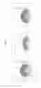 Fig. 13 - Silica aerogel composite