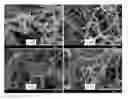 Fig. 01 - Porous cross-linked polyimide networks