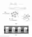 Fig. 02 - Porous cross-linked polyimide networks