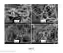 Fig. 05 - Porous cross-linked polyimide networks