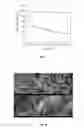 Fig. 07 - Porous cross-linked polyimide networks