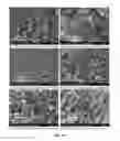 Fig. 15 - Porous cross-linked polyimide networks