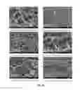 Fig. 22 - Porous cross-linked polyimide networks