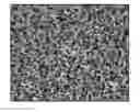 Fig. 01 - Alloy comprising polyolefin and thermoplastic polyurethane