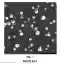 Fig. 02 - MATTE CLEAR COATING COMPOSITION