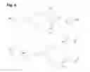 Fig. 04 - Thermoplastic elastomers containing an oligopeptide hard component