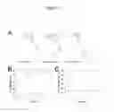 Fig. 03 - Charge conversional ternary polyplex