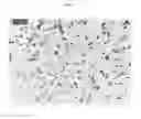 Fig. 03 - Process for producing coalesced rubber microparticles and their blends with epoxy resins