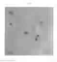 Fig. 05 - Phenyl-containing functional polysiloxanes and polycarbonate-polysiloxane copolymers made therefrom