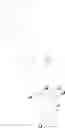 Fig. 03 - Temperature controlled sol-gel co-condensation