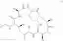 Fig. 04 - ALDEHYDE ACETAL BASED PROCESSES FOR THE MANUFACTURE OF MACROCYCLIC DEPSIPEPTIDES AND NEW INTERMEDIATES