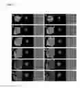 Fig. 07 - Method for antigen delivery