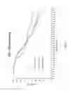 Fig. 46 - Methods for treating lignocellulosic materials
