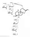 Fig. 05 - High-purity steviol glycosides