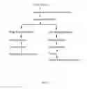 Fig. 07 - High-purity steviol glycosides