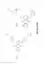 Fig. 05 - Methods for enhancing nucleic acid hybridization