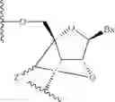 Fig. 16 - OLIGOMERIC COMPOUNDS COMPRISING BICYCLIC NUCLEOSIDES AND HAVING REDUCED TOXICITY