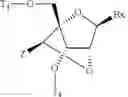 Fig. 24 - OLIGOMERIC COMPOUNDS COMPRISING BICYCLIC NUCLEOSIDES AND HAVING REDUCED TOXICITY