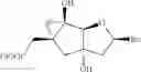 Fig. 06 - Tricyclic nucleosides and oligomeric compounds prepared therefrom