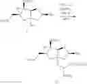 Fig. 15 - Tricyclic nucleosides and oligomeric compounds prepared therefrom